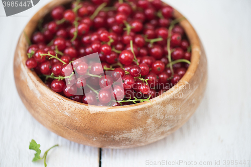 Image of Fresh red currants