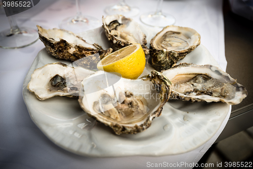 Image of Hald dozen oysters