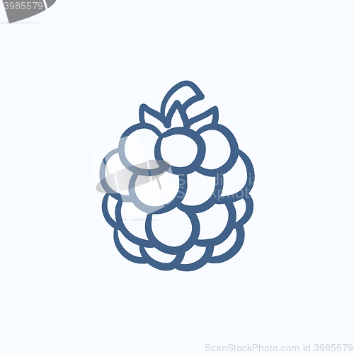 Image of Raspberry sketch icon.