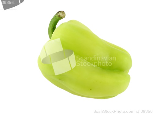 Image of Bell pepper