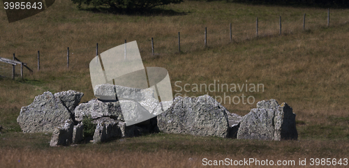 Image of grave