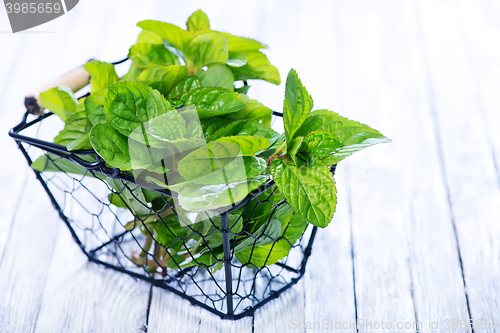 Image of fresh mint