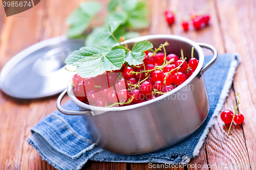 Image of red currant