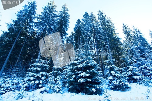 Image of Winter mountains