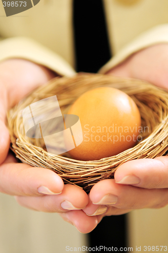 Image of Hands holding nest with egg
