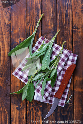 Image of Sage