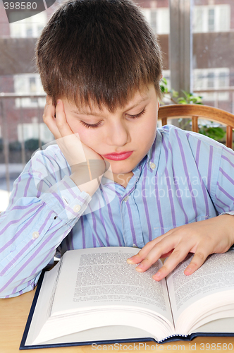 Image of School boy studying