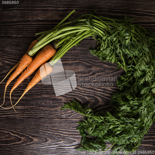 Image of Freshly grown carrots