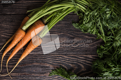 Image of Freshly grown carrots