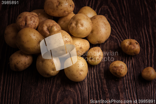 Image of Freshly grown potato