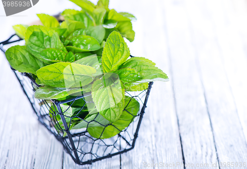 Image of fresh mint