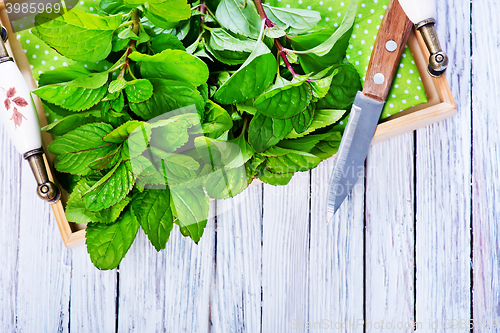 Image of fresh mint