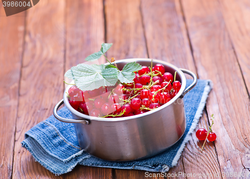 Image of red currant