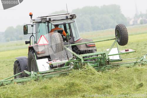 Image of Farmer uses tractor to spread hay on the field