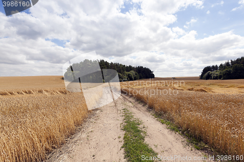 Image of Rural paved road
