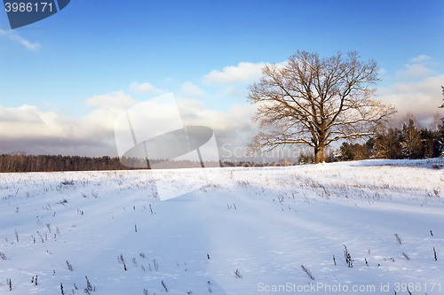 Image of winter season, the snow