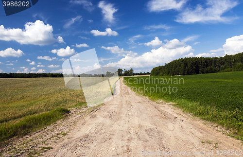 Image of Spring road, countryside