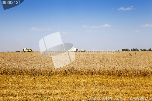 Image of harvesting of cereals