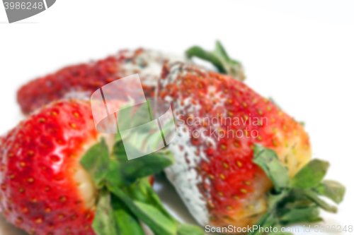 Image of Strawberry with mold