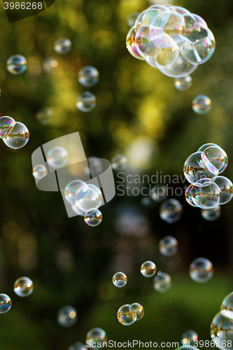 Image of Soap bubbles