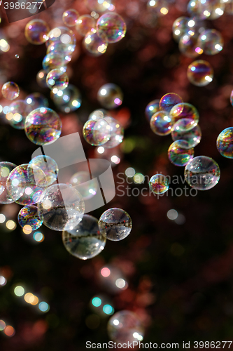 Image of Soap bubbles