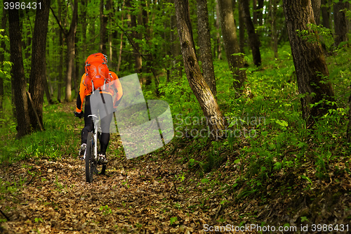 Image of Cyclist Riding the Bike on a Trail in Summer Forest