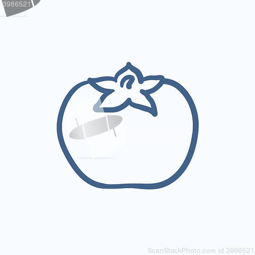 Image of Tomato sketch icon.