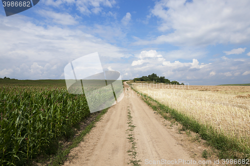 Image of road in a field