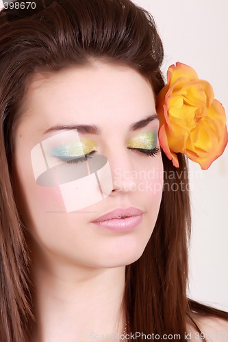 Image of flower and colour