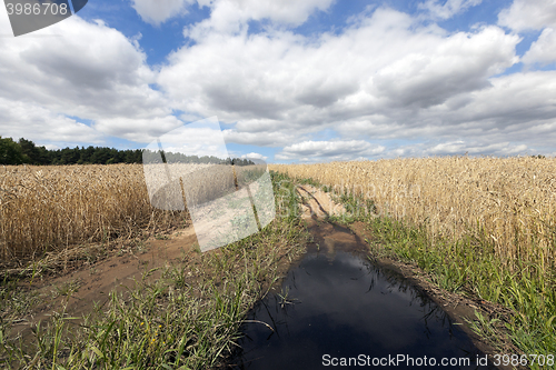 Image of Rural paved road