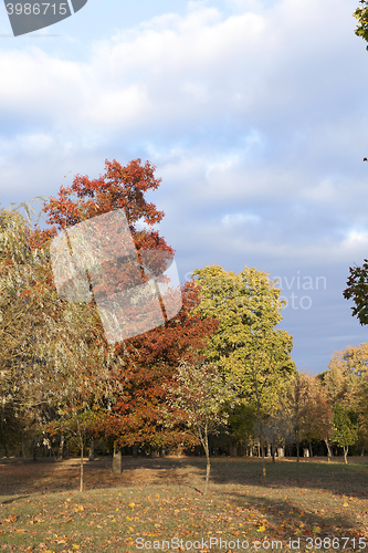 Image of autumn in the park