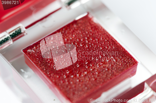 Image of red women\'s cosmetics