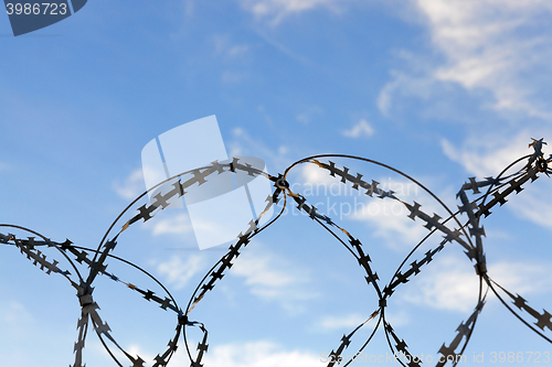 Image of barbed wire, sky