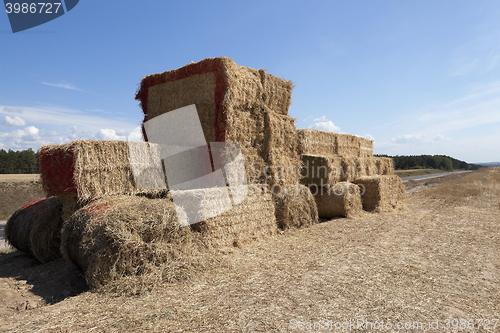 Image of Tractor straw, close-up