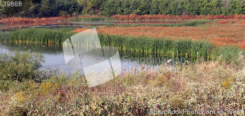 Image of Fall Panorama