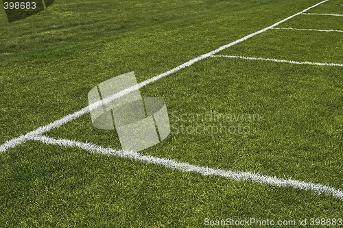 Image of Emerald grass of a playing field