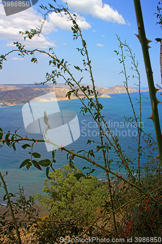 Image of The  Taurica - ancient Greek colony Black sea coast