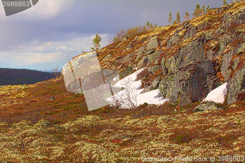 Image of Mountain tundra in Lapland