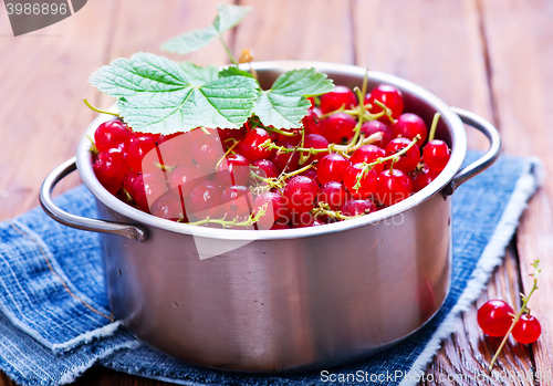 Image of red currant