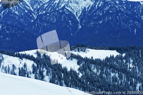 Image of Snow in mountains. 