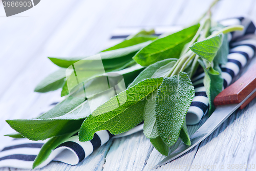 Image of Sage