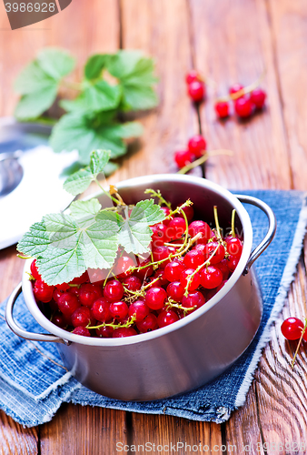 Image of red currant