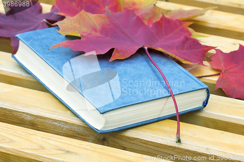 Image of Book and fallen leaves on a Park bench.