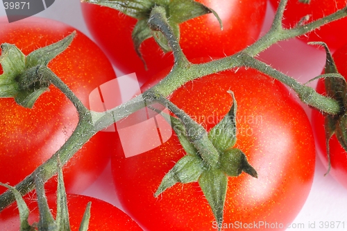 Image of Tomatoes