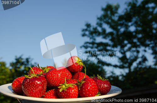 Image of Strawberries in a bowl