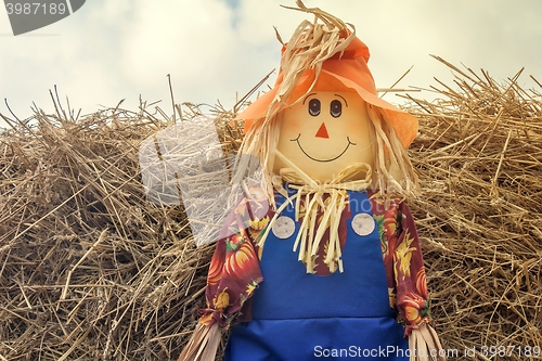 Image of Doll funny figure of a man in a hat.g