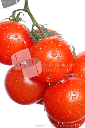 Image of Wet Tomatoes