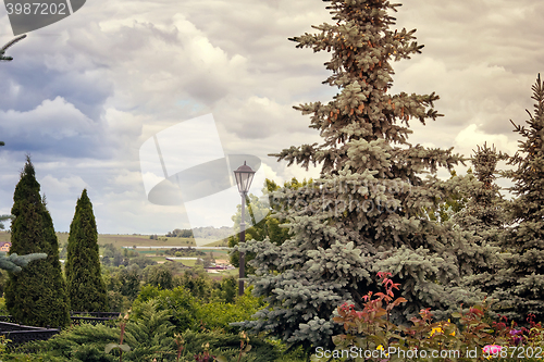 Image of Summer landscape in cloudy weather.