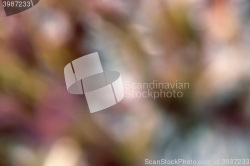 Image of Background image with blurred shapes of colors.