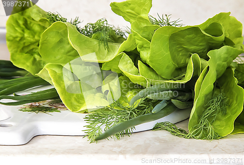 Image of Vegetables: green onions, lettuce and dill